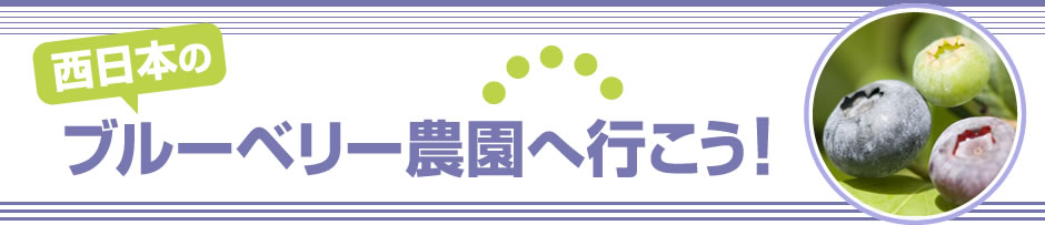 西日本のブルーベリー農園へ行こう！